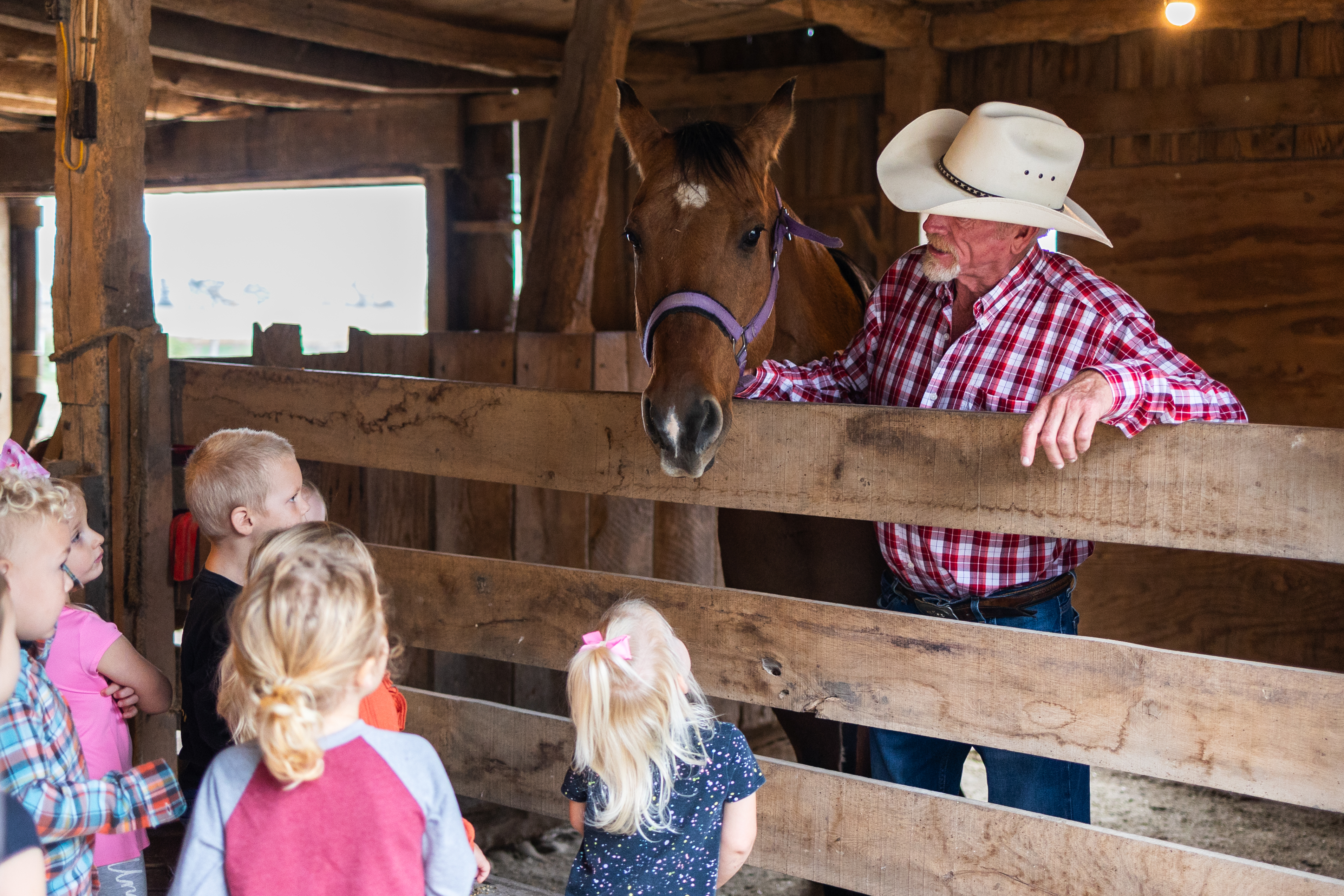 Baby Bonanza at Rainbow Ranch